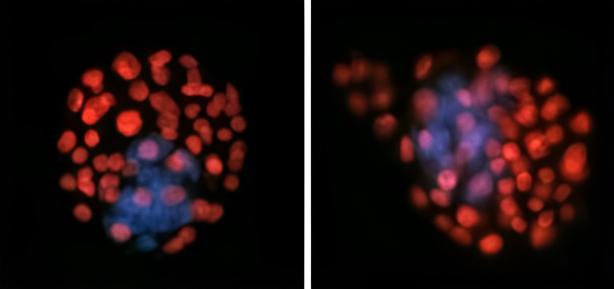 107439143-15681435-image-a-9_1774536862197 (1).jpg