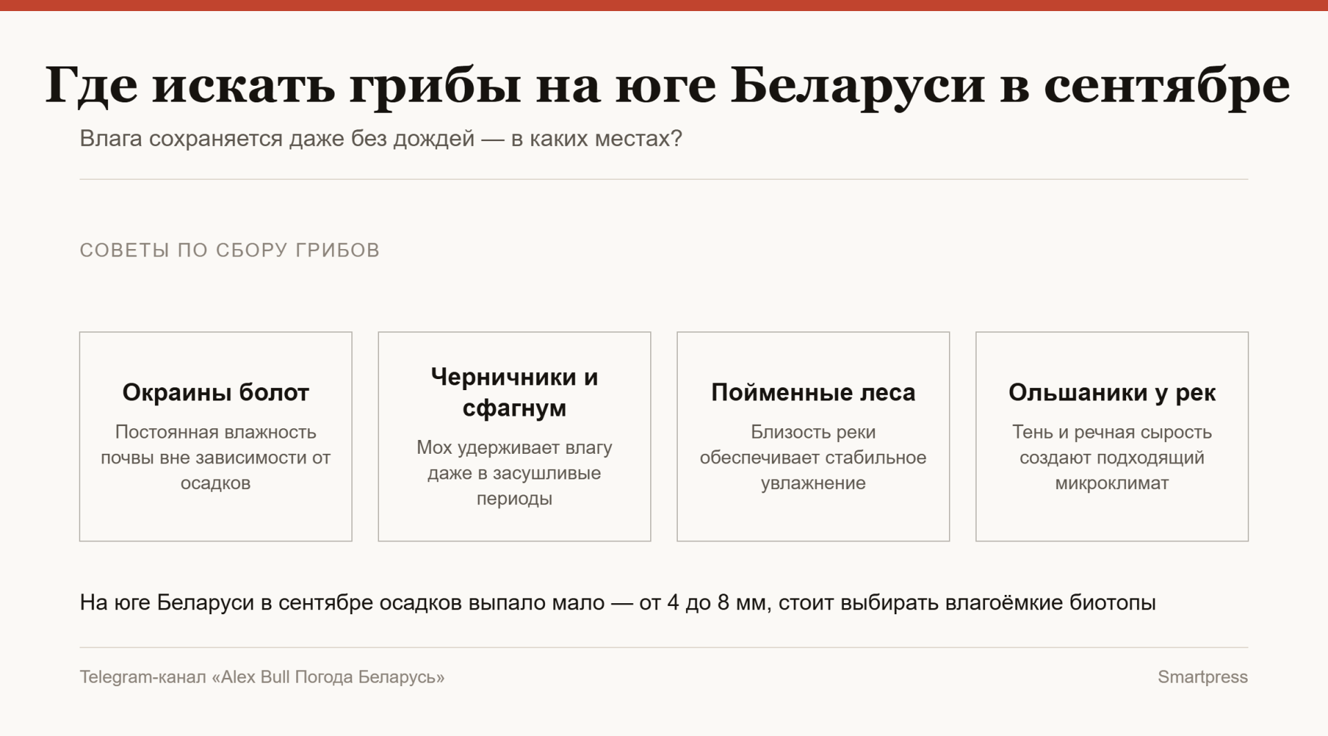 где искать грибы на юге Беларуси в сентябре где искать грибы на юге Беларуси в сентябре