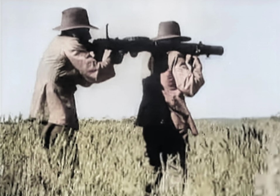 Война с эму