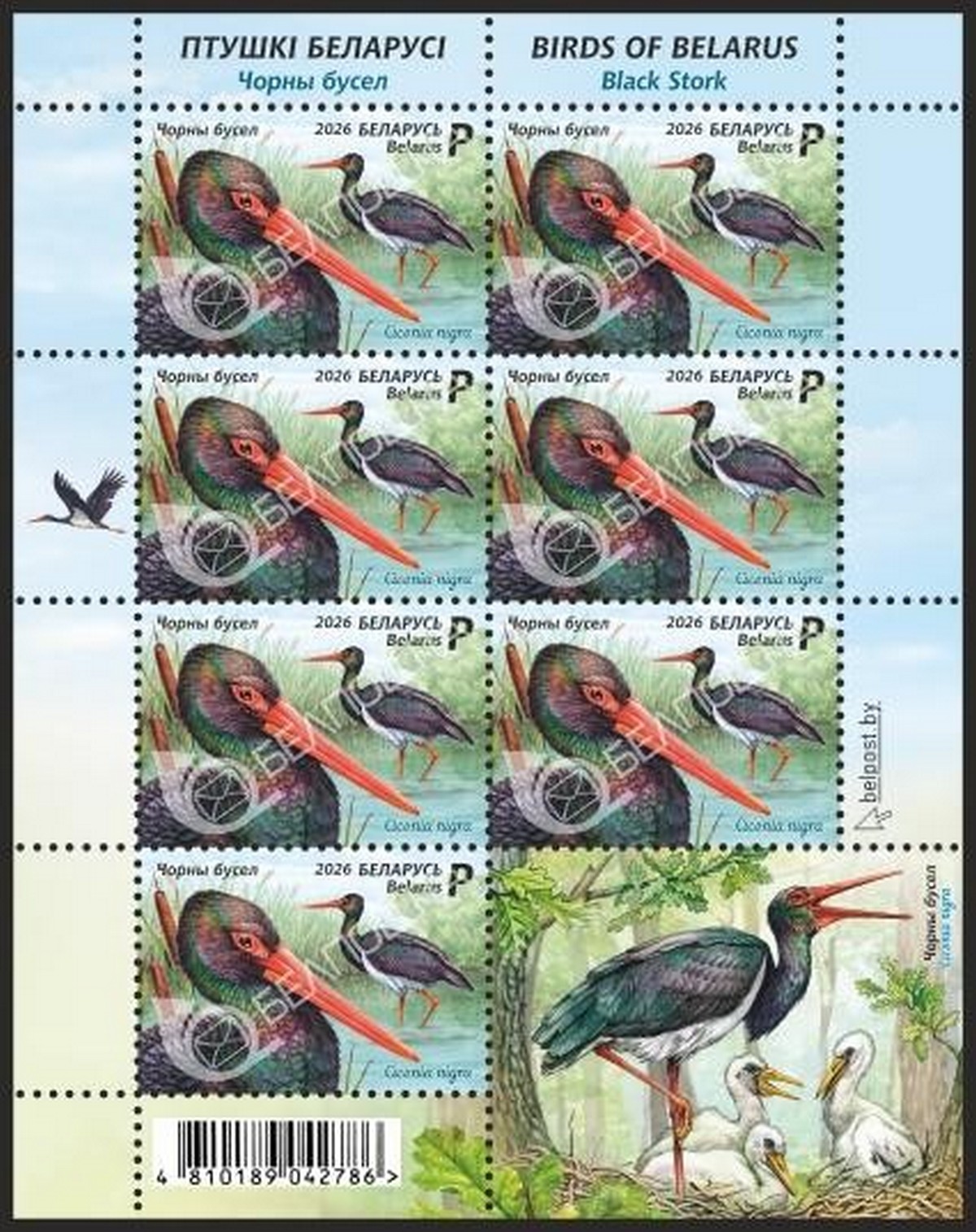 7-Марка с черным аистом в Беларуси.jpg
