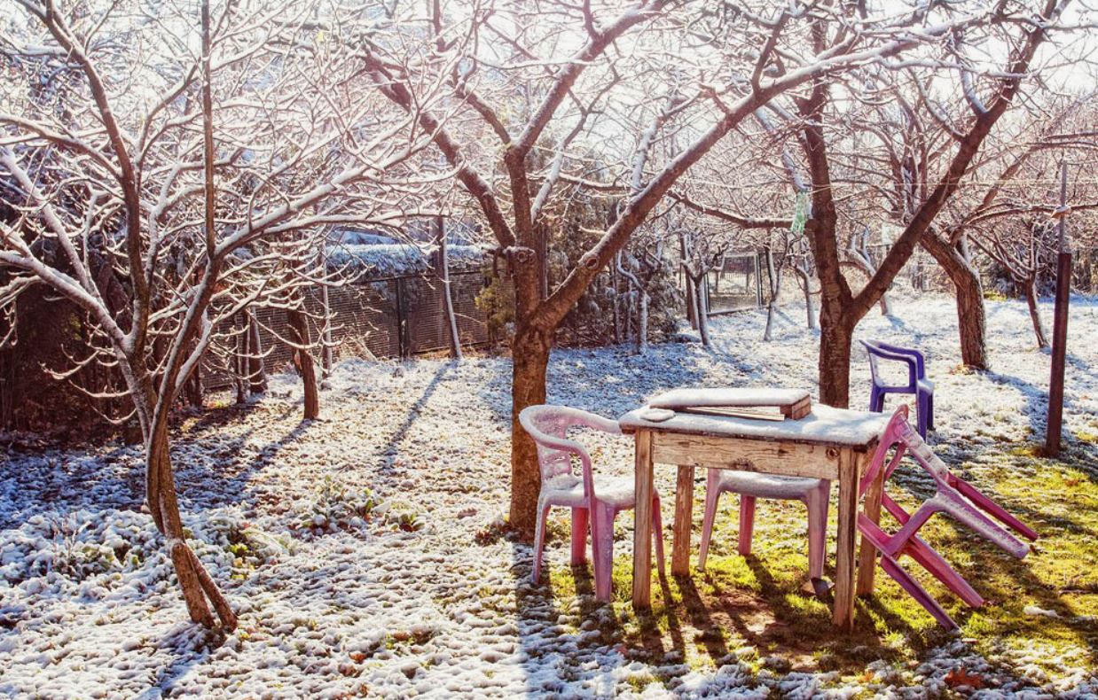 зимний сад.jpg