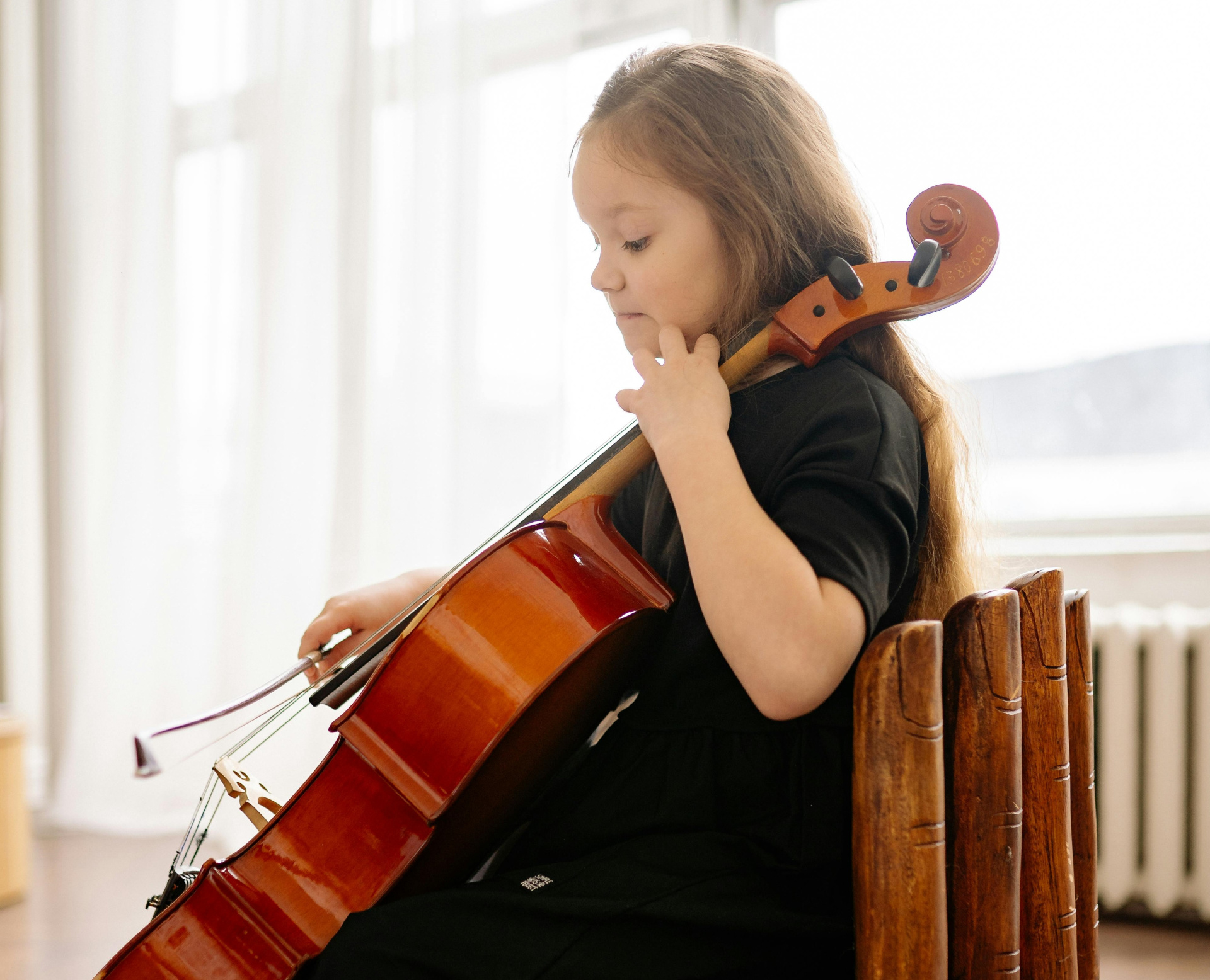 секция скрипки, фото Yan Krukau секция скрипки, фото Yan Krukau