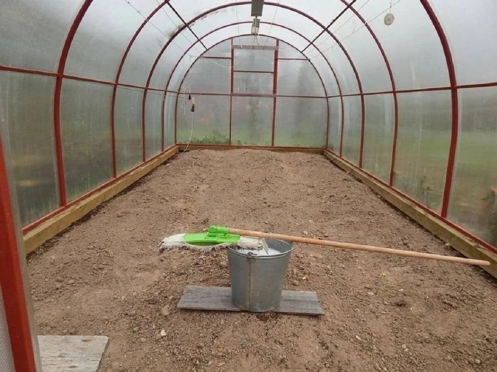 теплица.jpg