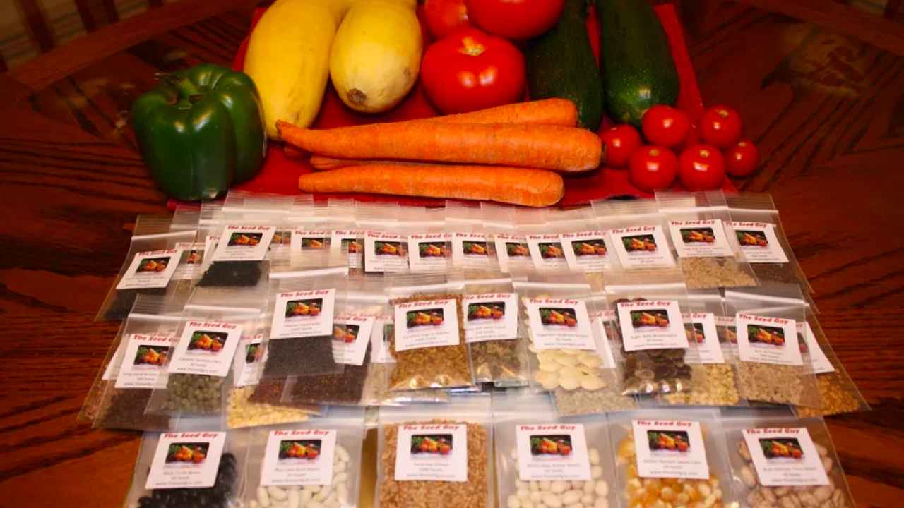 семена семена.jpg