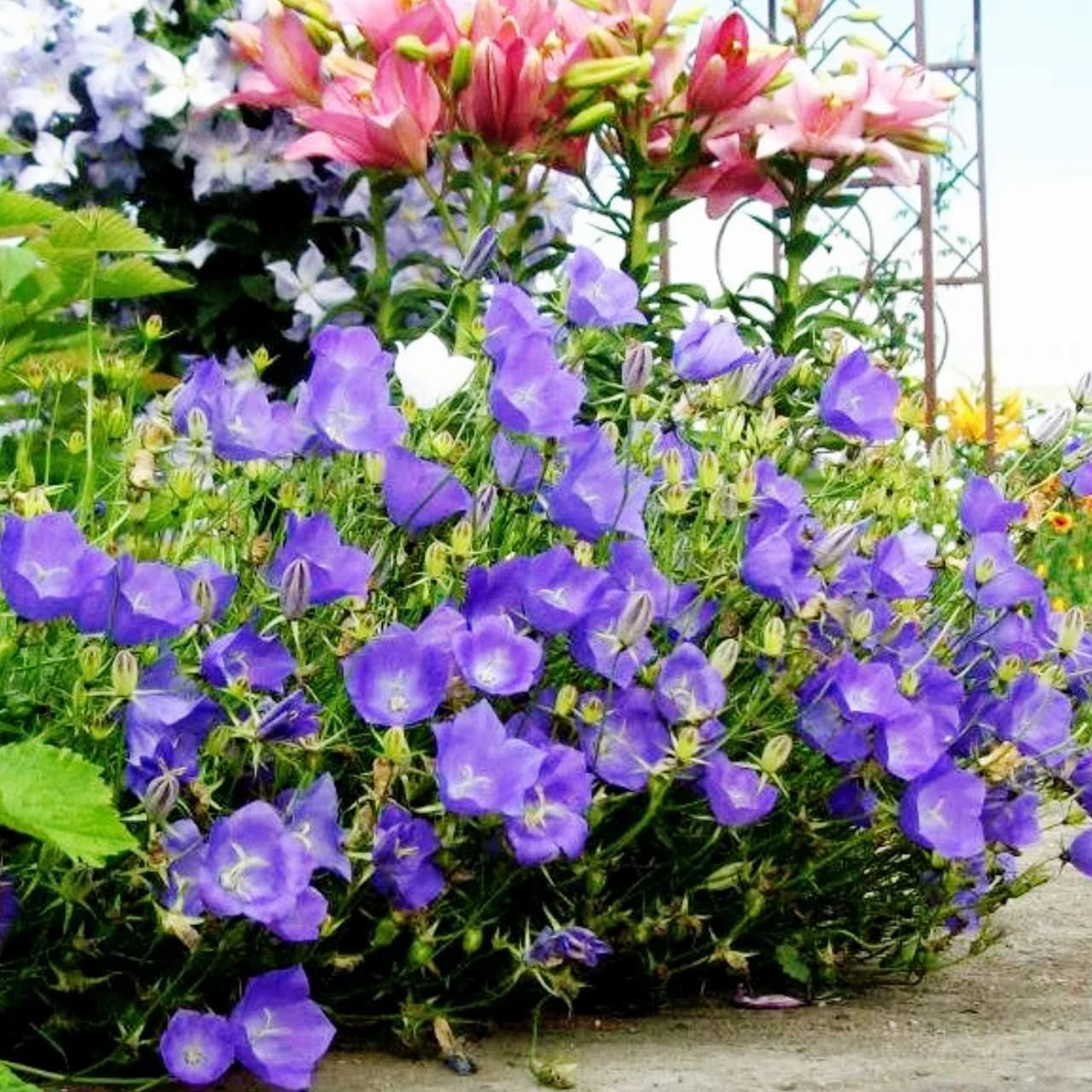 photo_2026-01-25_19-14-41 (2).jpg