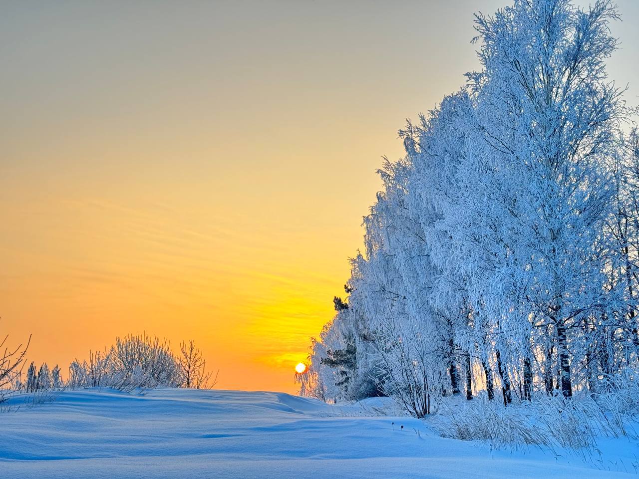 природа при сильном морозе