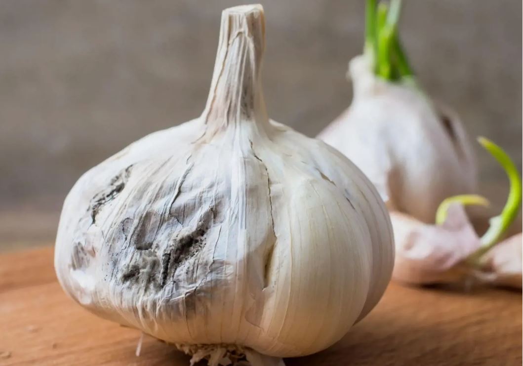 чеснок 3.jpg