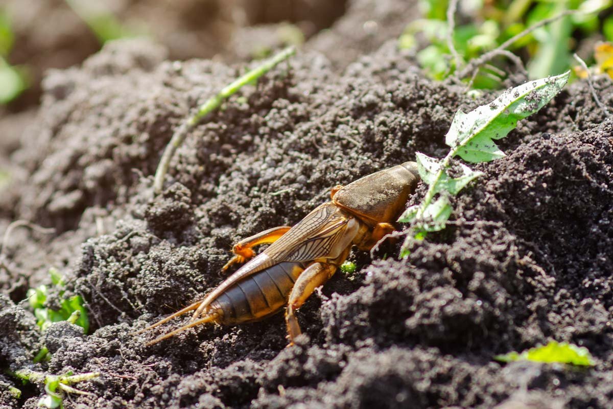 photo_2026-04-26_11-27-42 (4).jpg