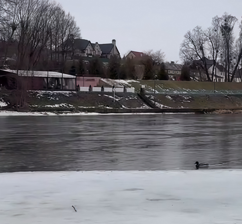 Неман Неман.png