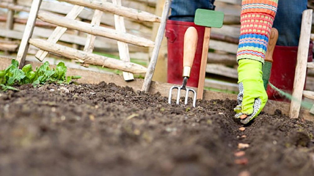 руки в перчатках, посев.jpg