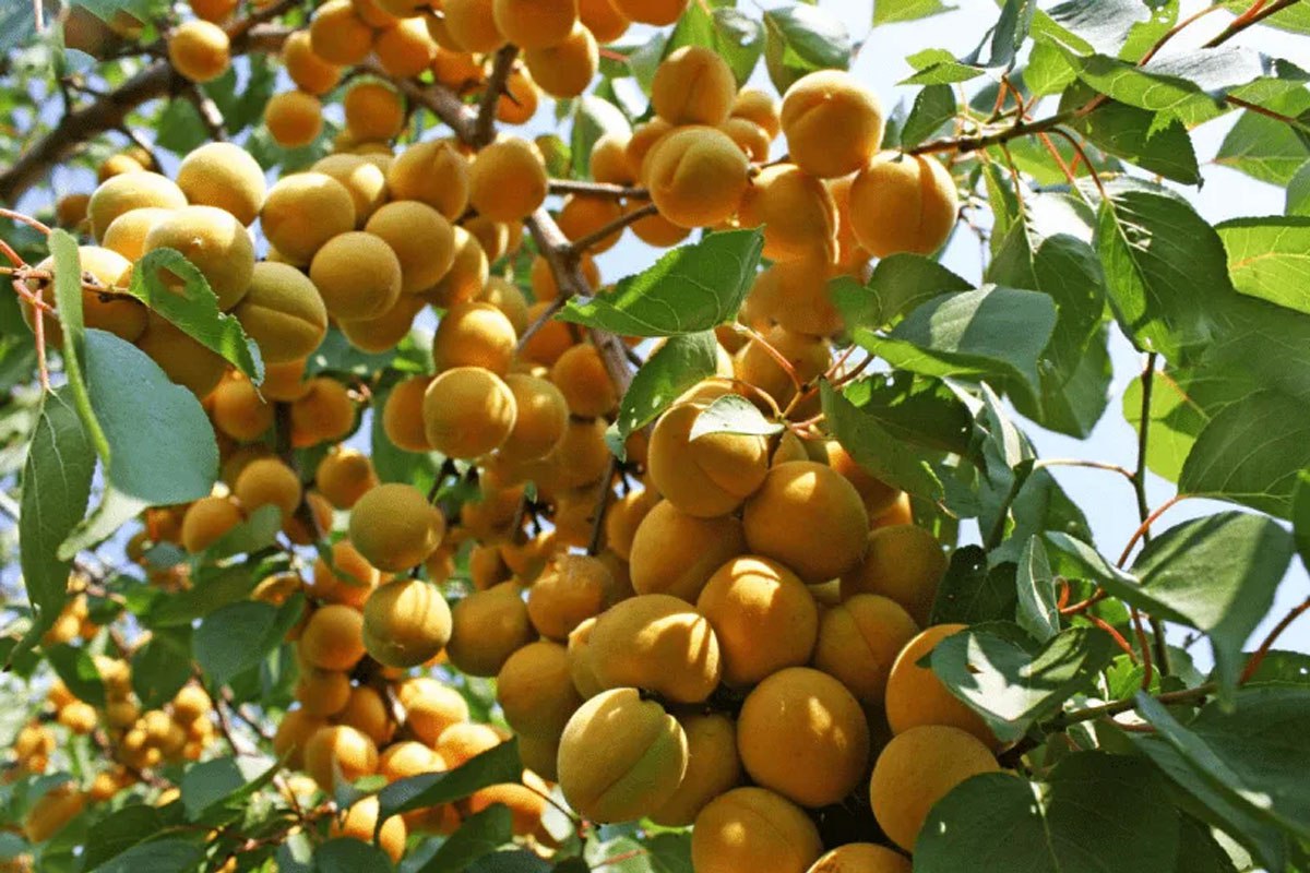 photo_2026-03-03_12-59-35 (4).jpg