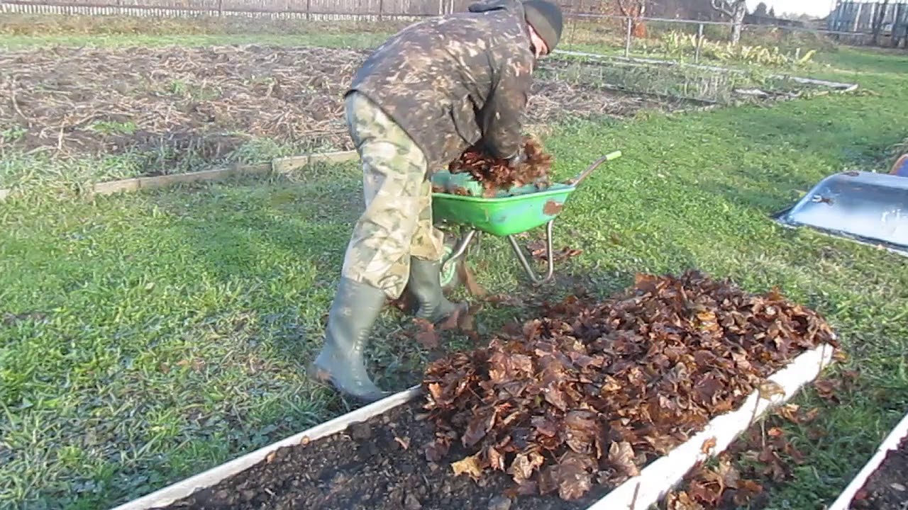 мульчирование