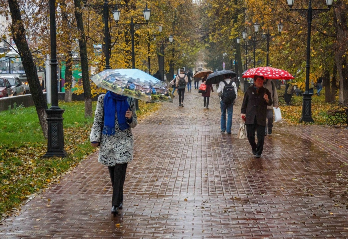 осень дождь люди