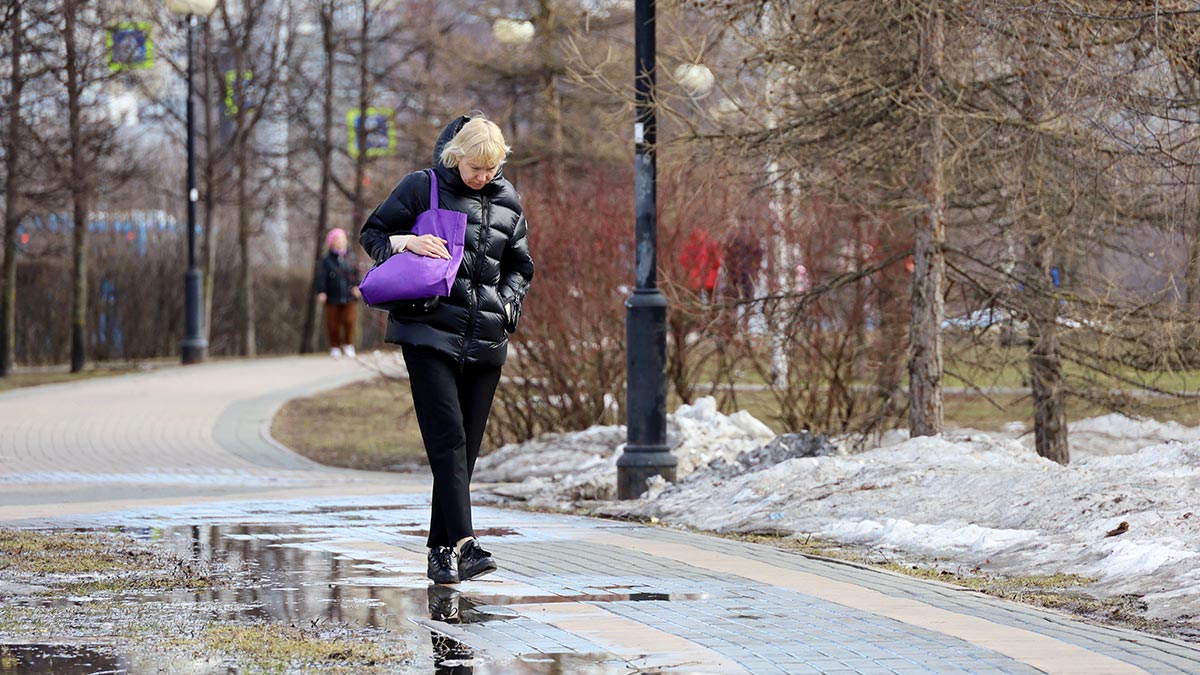 снег тает в конце ноября