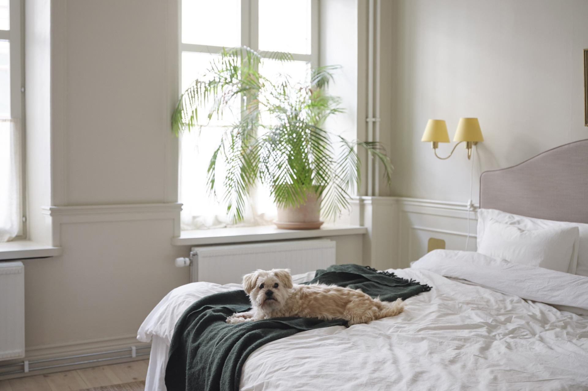 Весеннее преображение_6.png