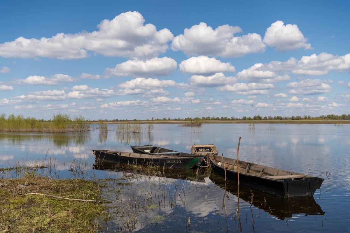 3-На Туровском лугу.jpg