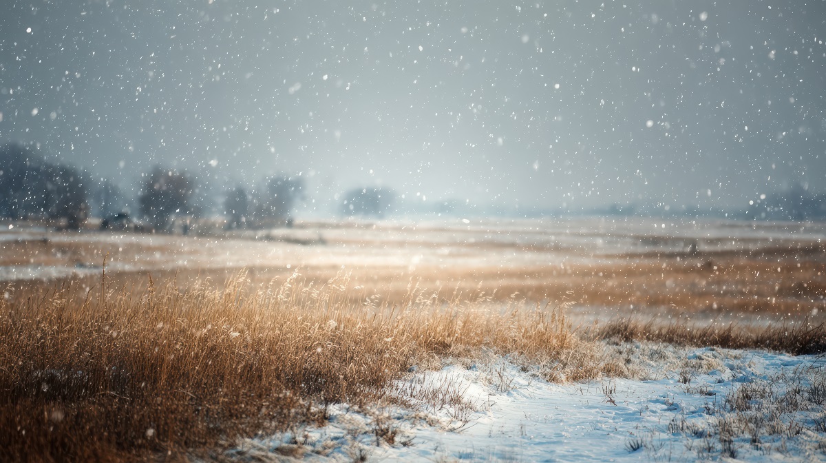 поле, снег.jpg