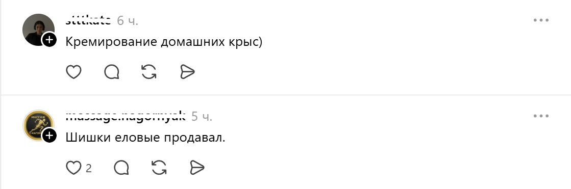 кремирование крыс и продажа шишек