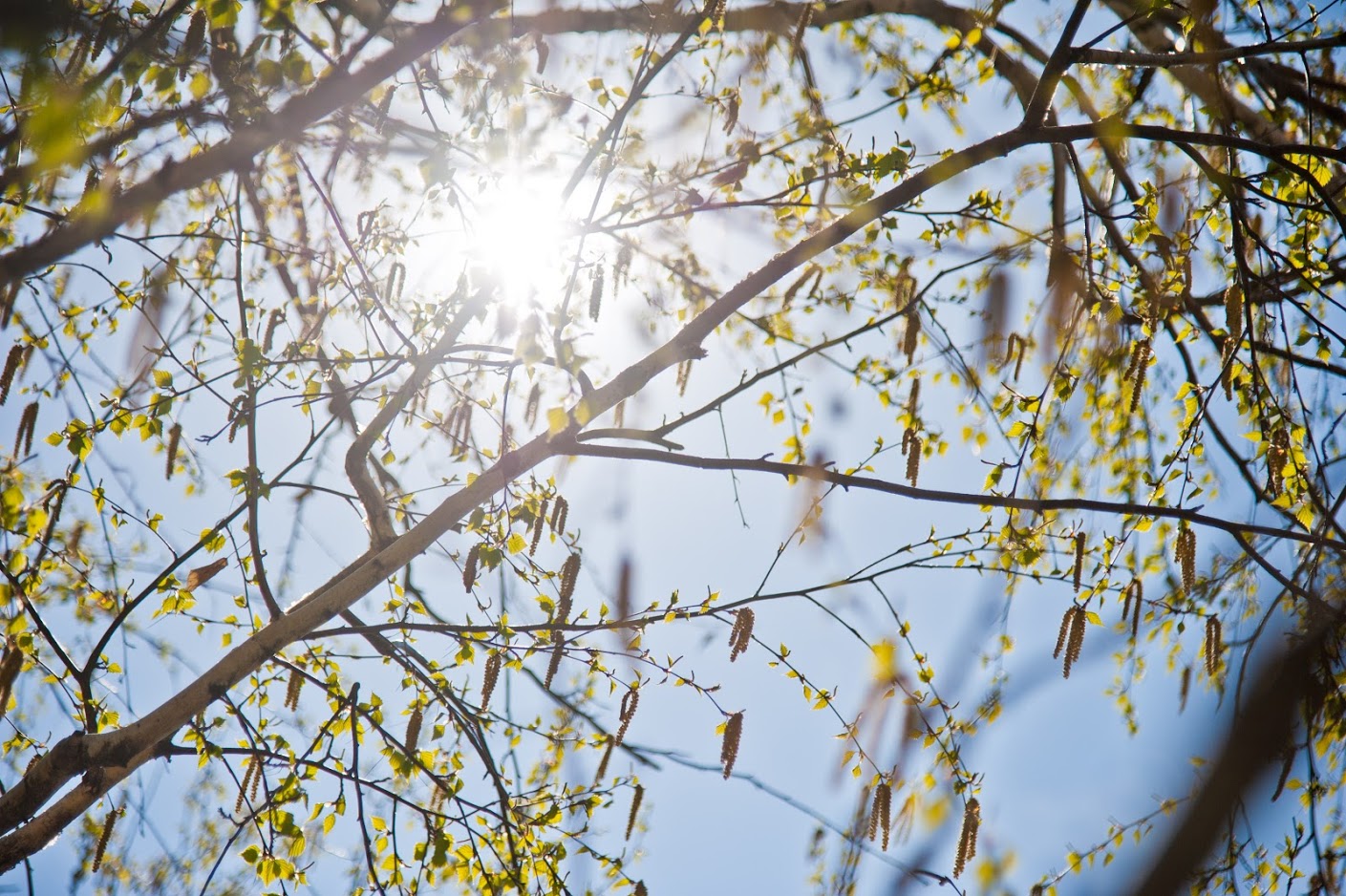 солнечный апрель солнечный апрель