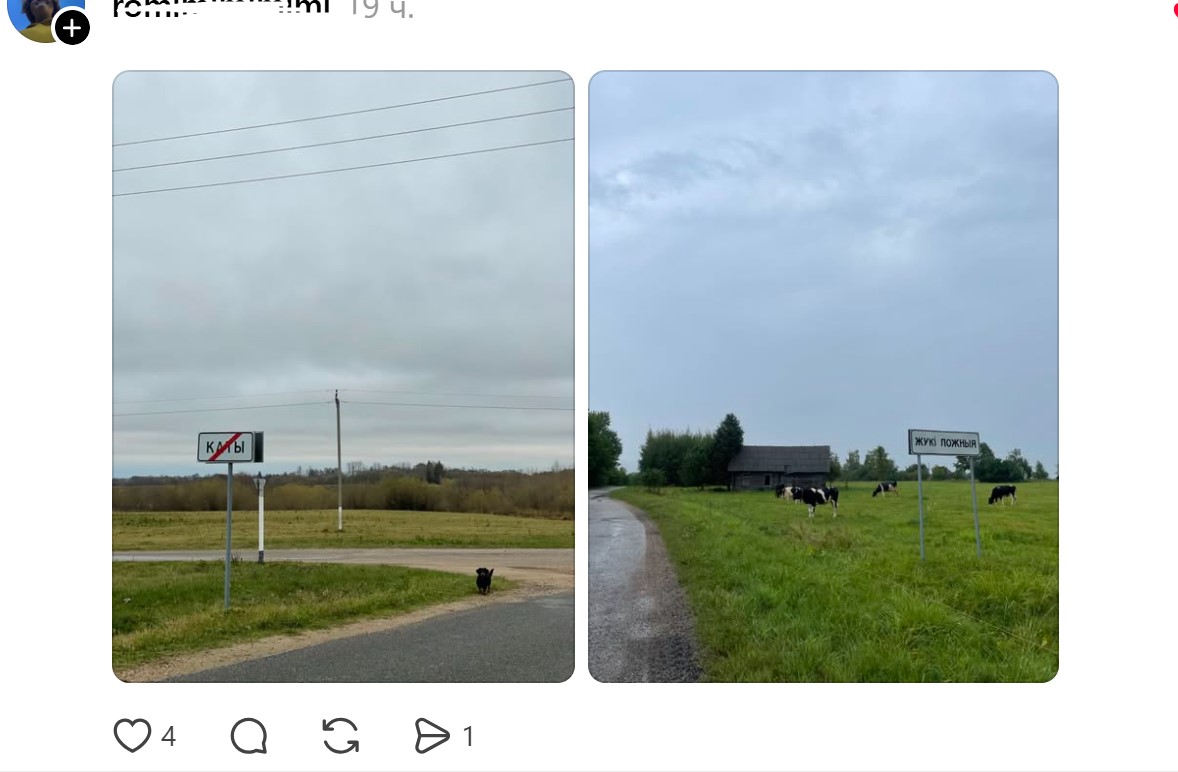 каты и жуки ложныя.jpg