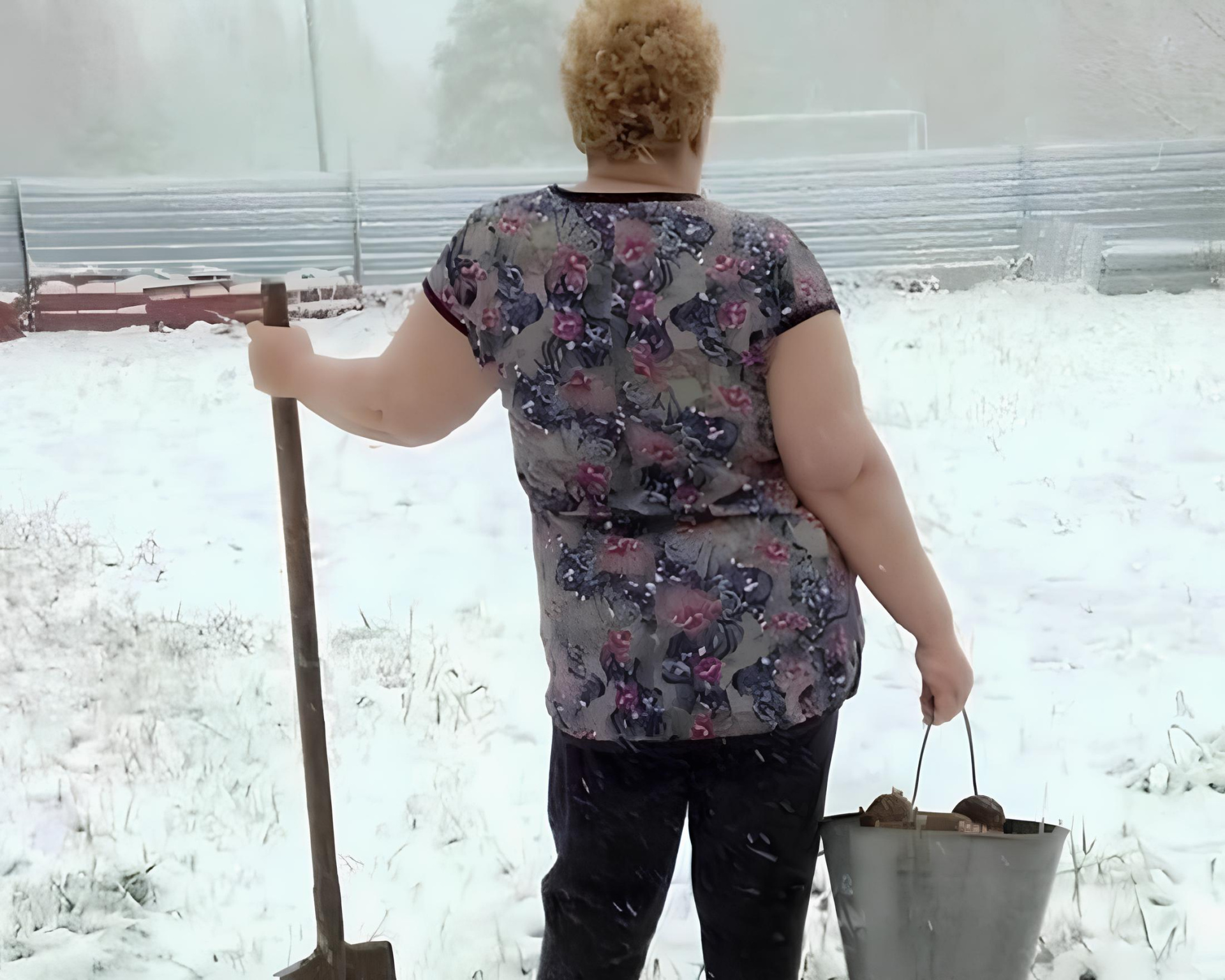 дачница.jpg дачница.jpg