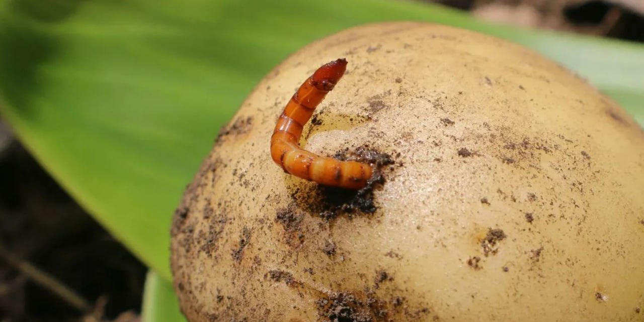 photo_2026-01-25_20-19-05 (5).jpg