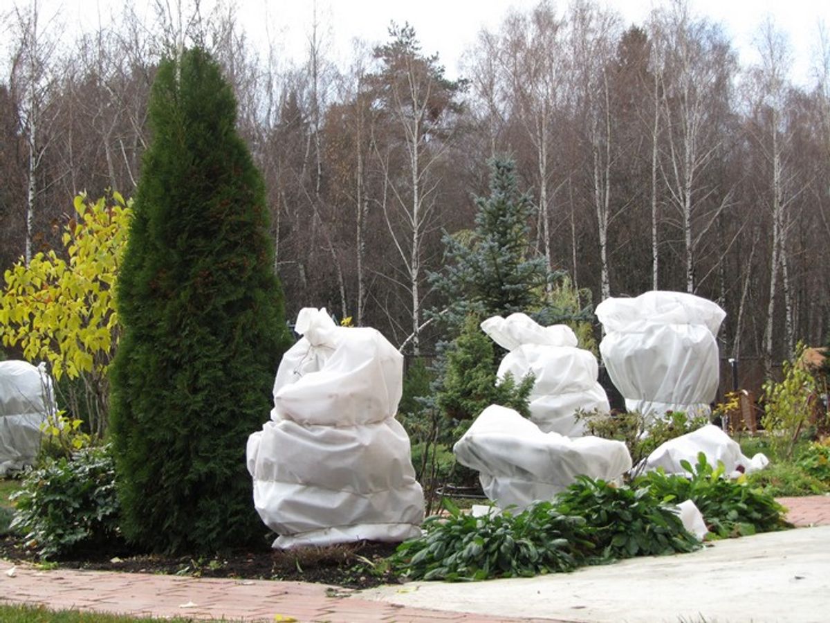 photo_2026-01-26_09-02-20 (2).jpg