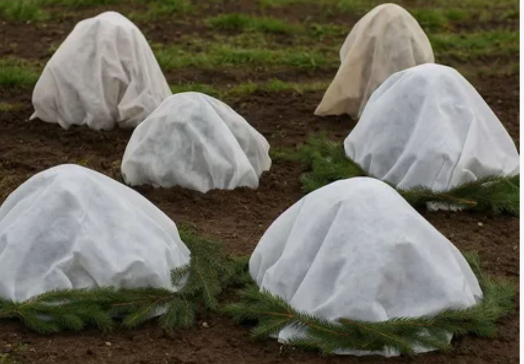 photo_2025-12-07_12-38-37 (2).jpg