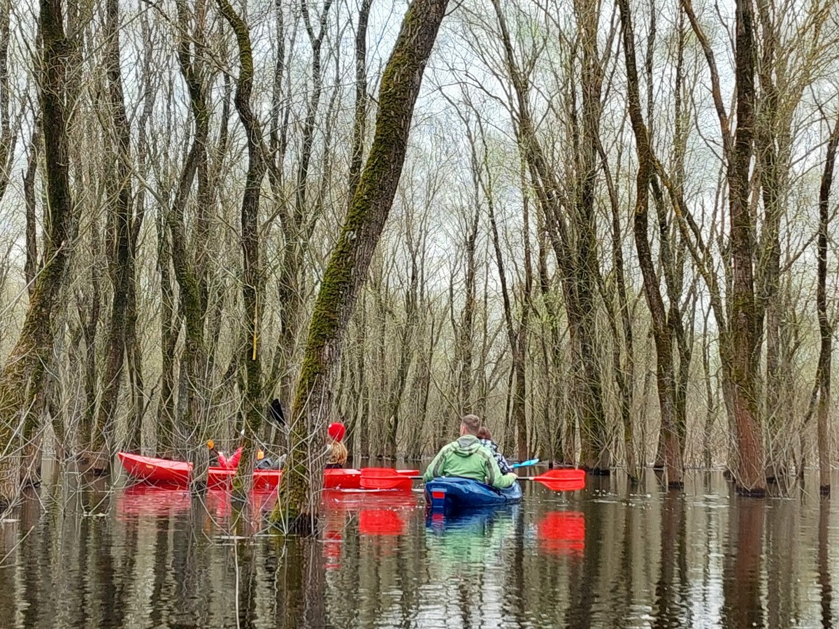 Деревья и луга в воде, а лодки плавают под окнами деревенских хат. Репортаж  со сплава на байдарках по 