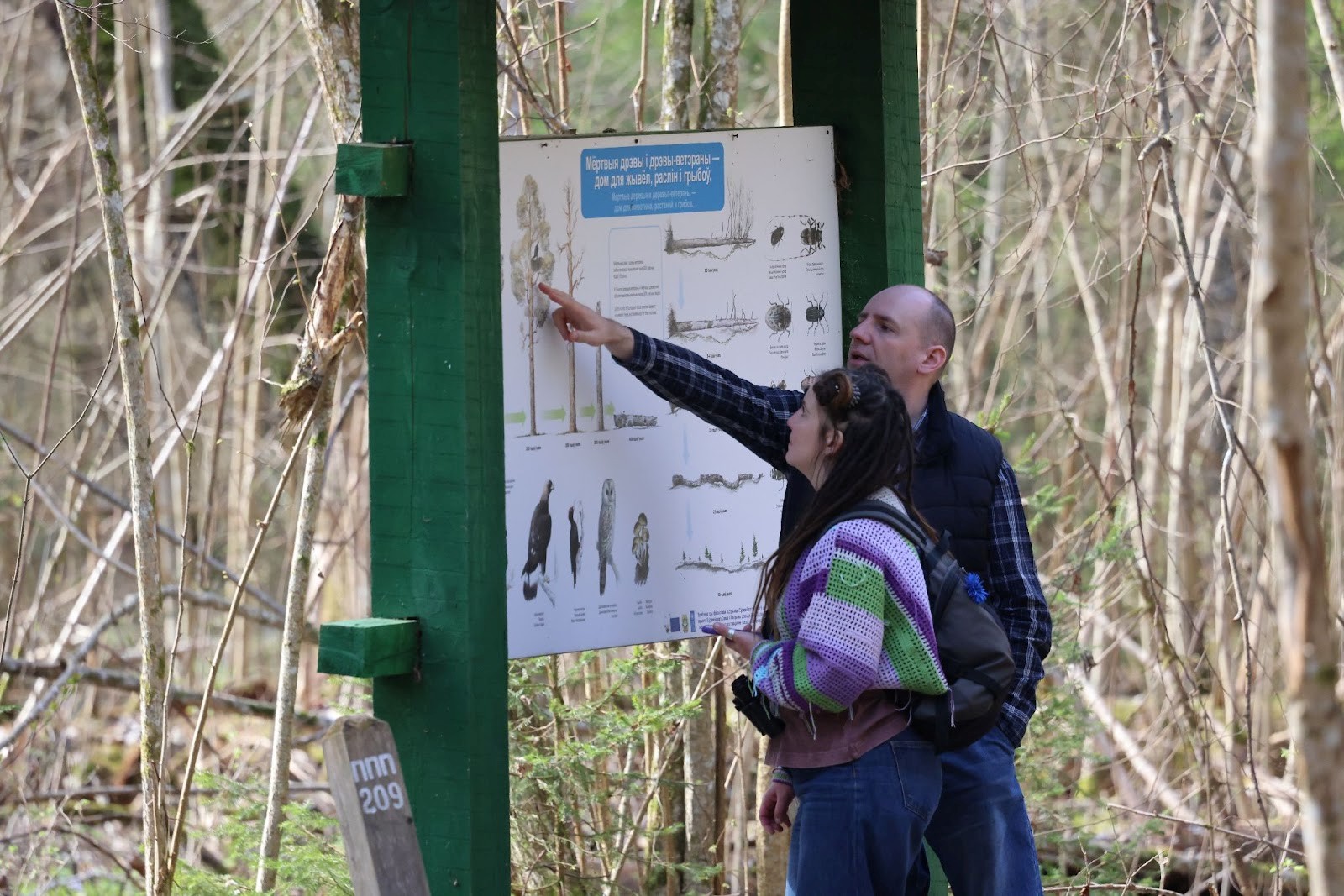 9-Экотропа в Березинском заповеднике.jpg