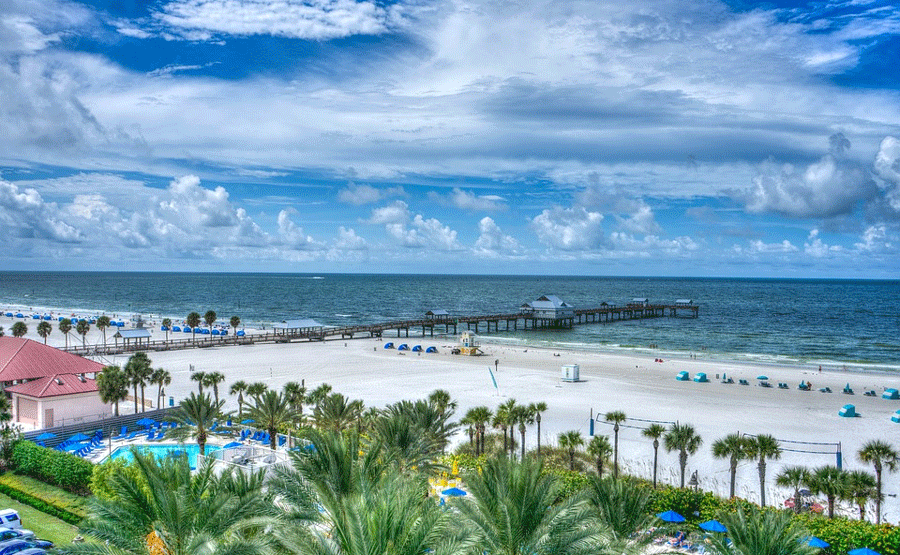 florida.gif florida.gif