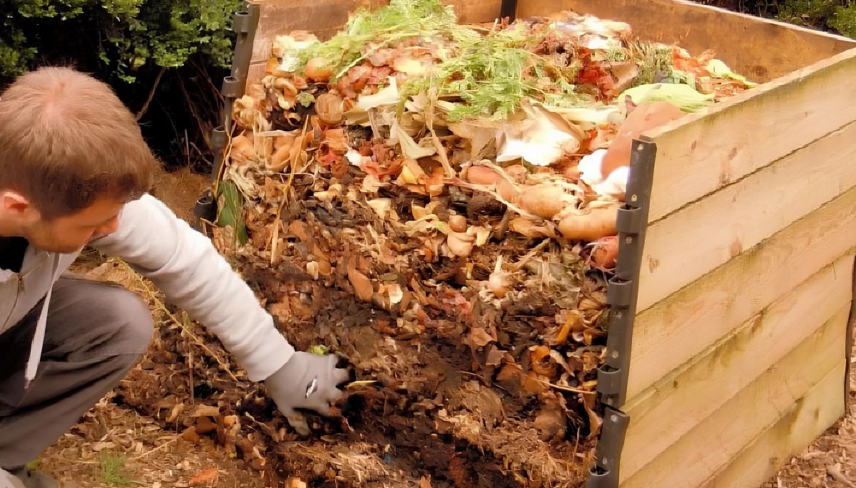 компостирование2.jpg