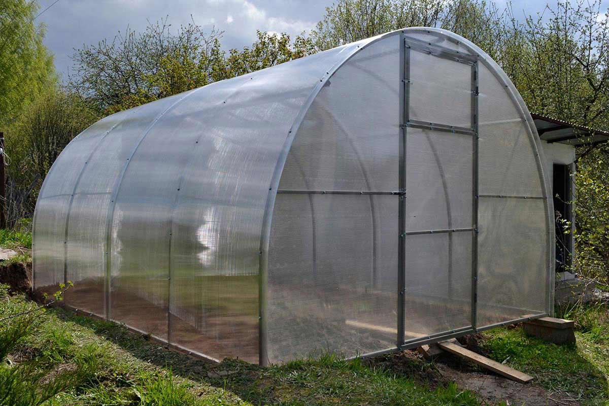 теплица теплица.jpg