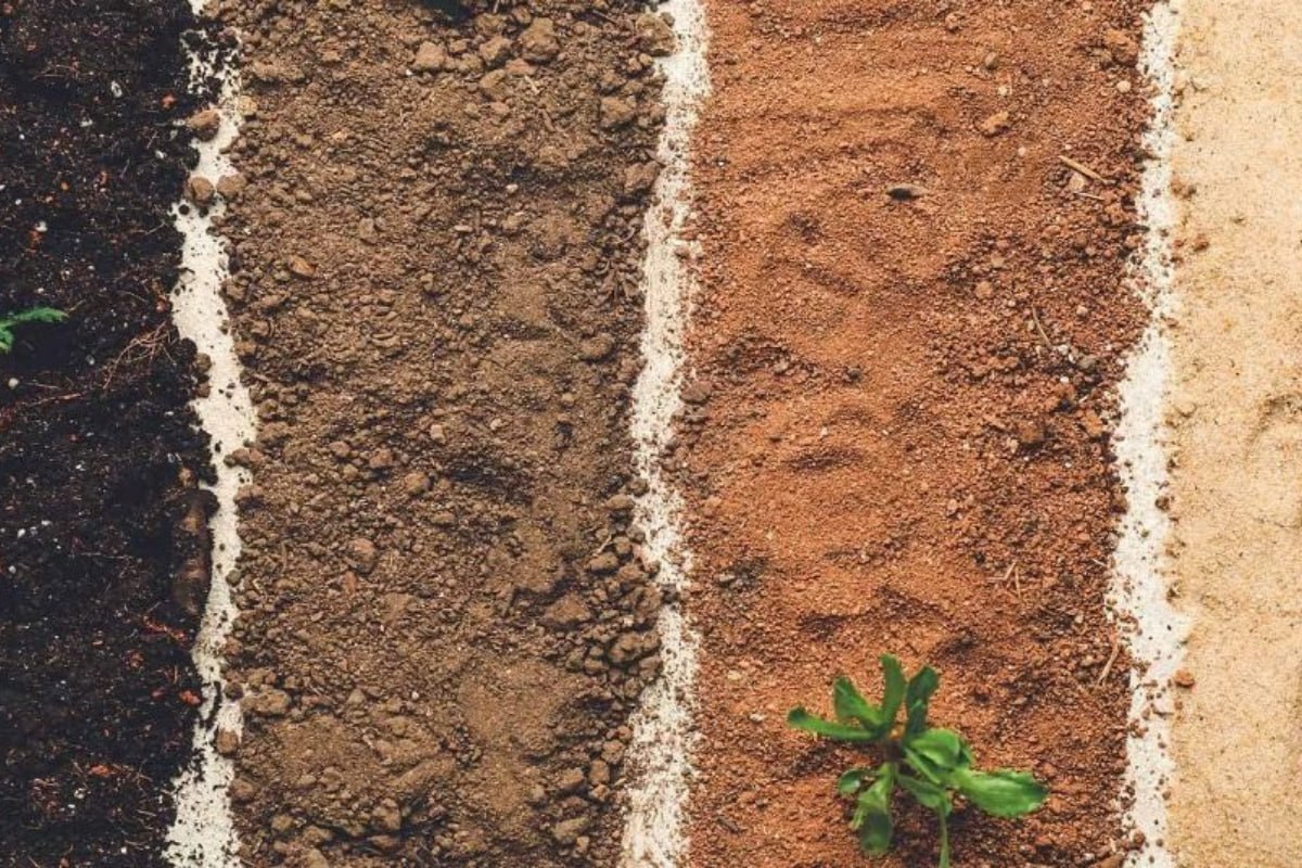 почва почва