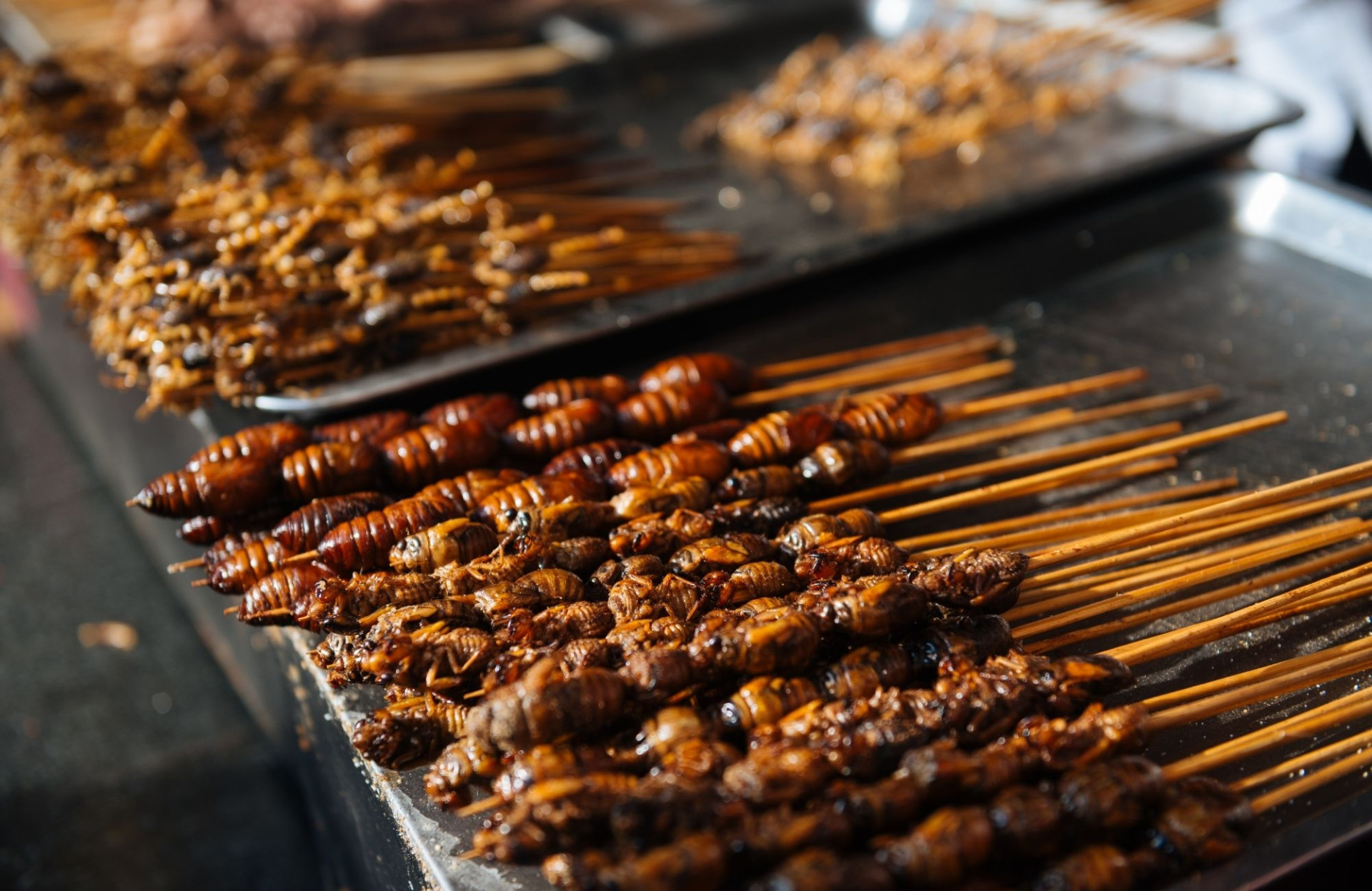 Приготовленные жуки и личинки в Китае.jpg