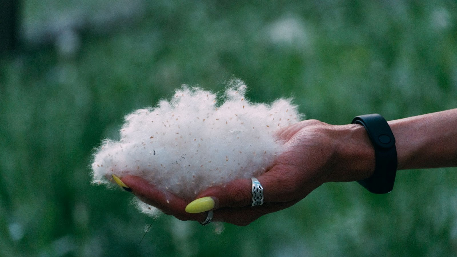 Тополиный пух.jpg