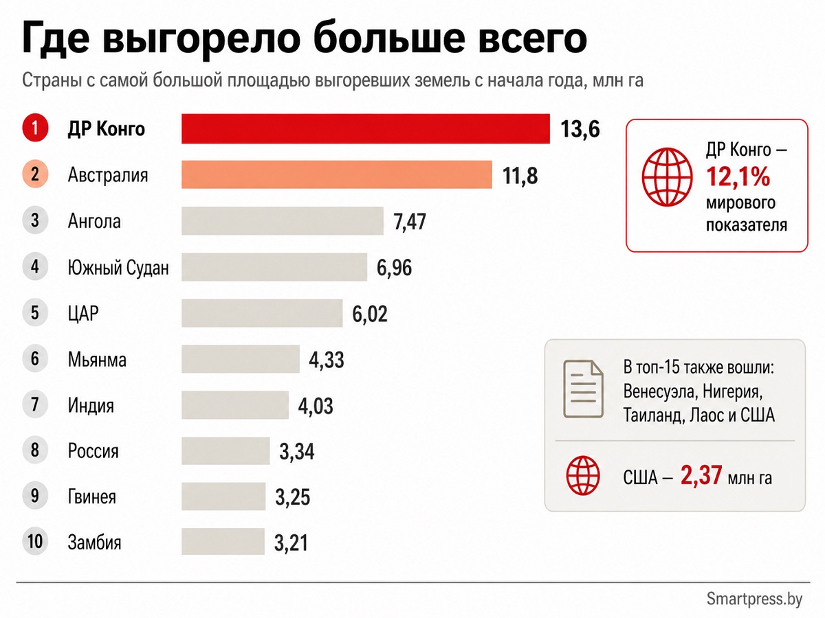 пожары-инфографика пожары-инфографика