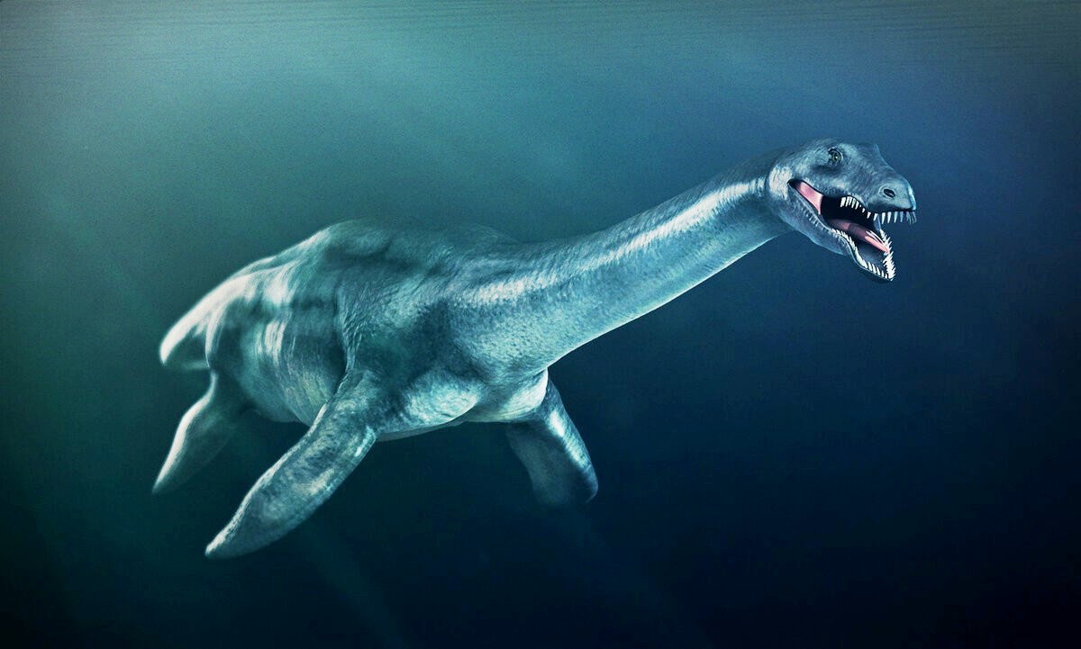 Плезиозавр.jpg