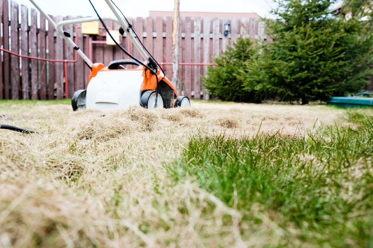 photo_2026-04-05_21-15-02 (3).jpg