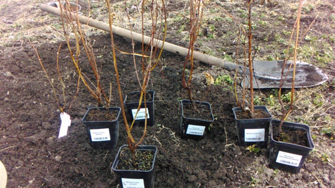 photo_2026-03-15_18-46-57 (2).jpg