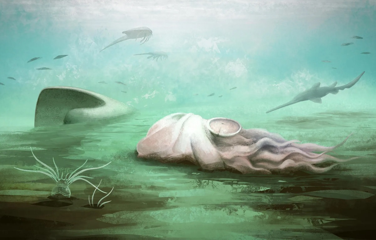 Реконструкция рисунка Pohlsepia mazonensis. Автор д-р Томас Клементс Реконструкция рисунка Pohlsepia mazonensis. Автор д-р Томас Клементс