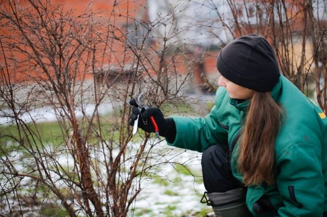 работы в саду