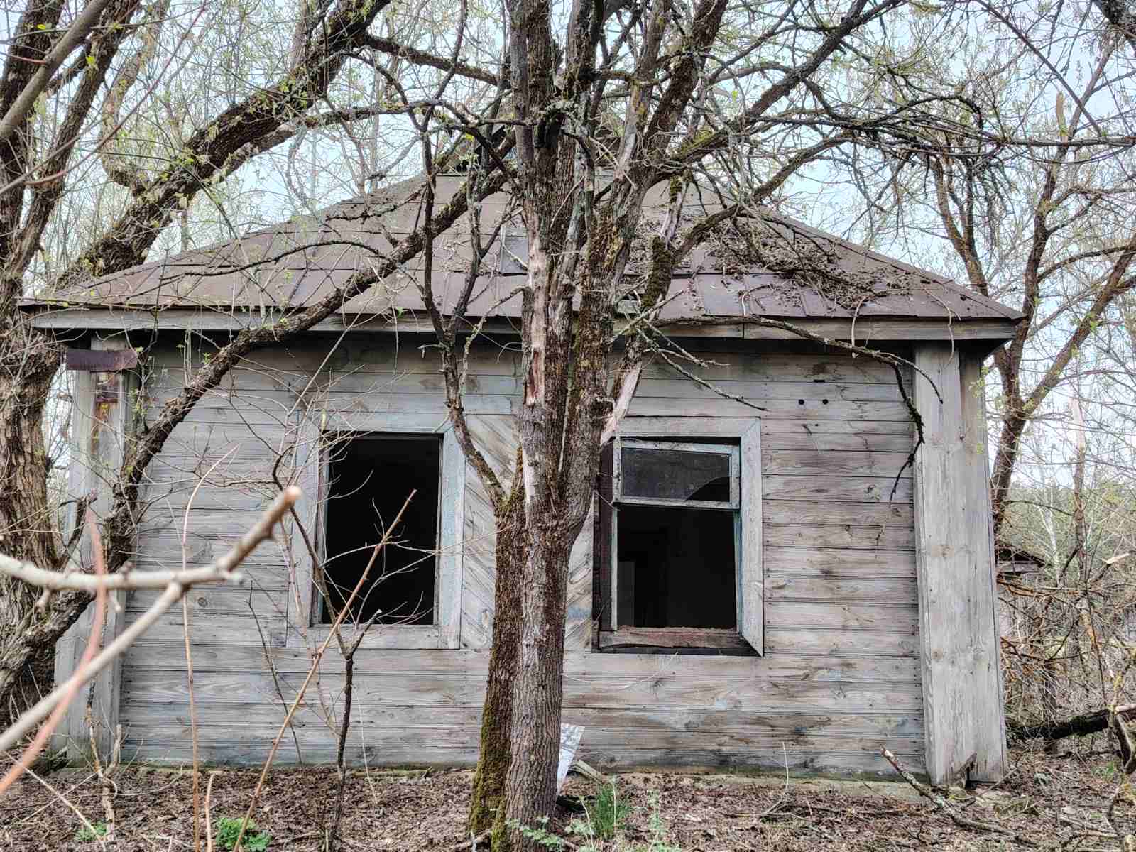 Чернобыль Рогатко2.jpg