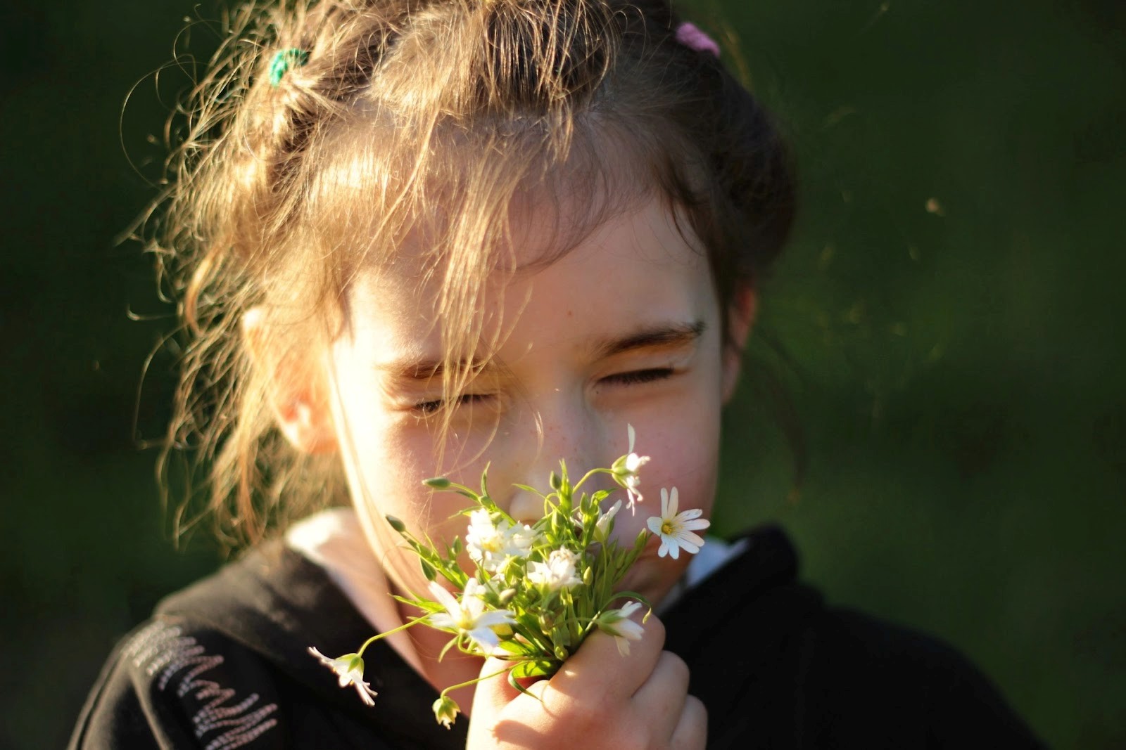 Звездчатка 1.jpg