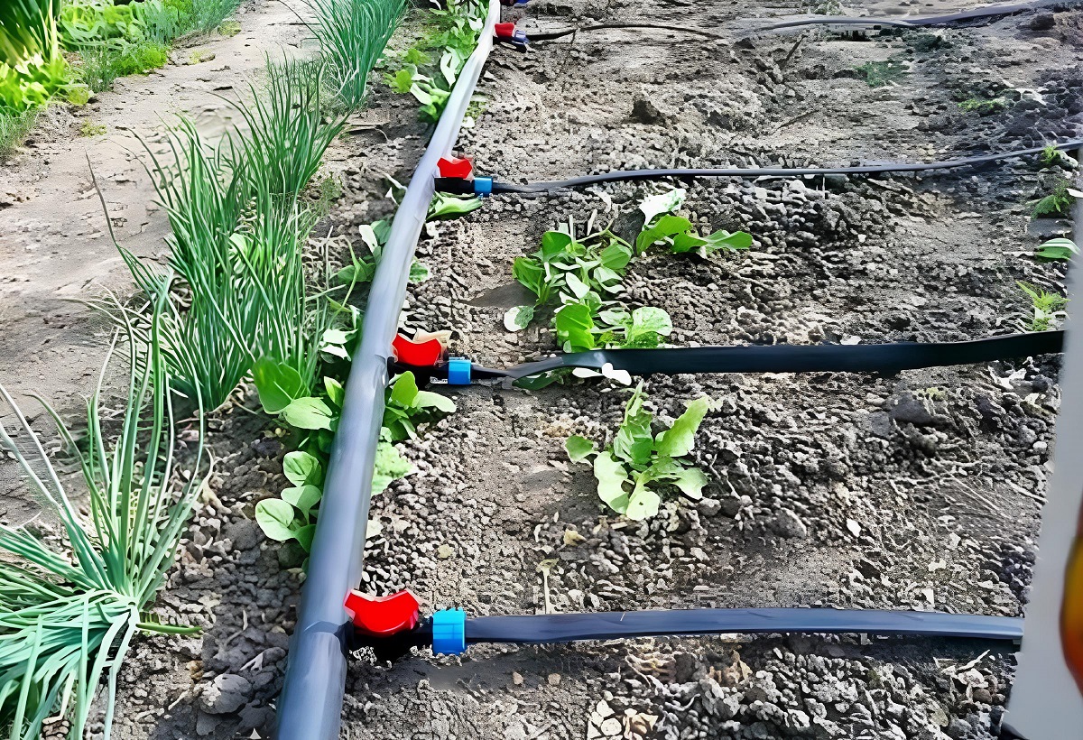 полив осенью 1.jpg