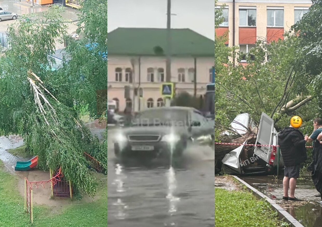 поваленные деревья и затопленный автовокзал в Витебске поваленные деревья и затопленный автовокзал в Витебске