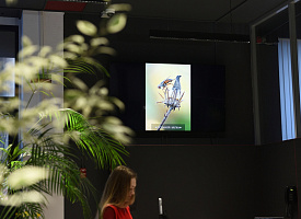 Как жюри фотоконкурса “Дикая природа Беларуси 2025” выбирало победителей