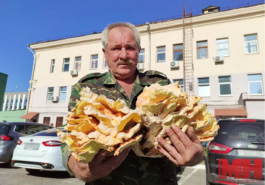 Гигантский гигантский съедобный Сникерс