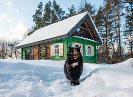 Кто обязан чистить дороги от снега в садоводческих товариществах Беларуси и за чей счет? Мы выяснили