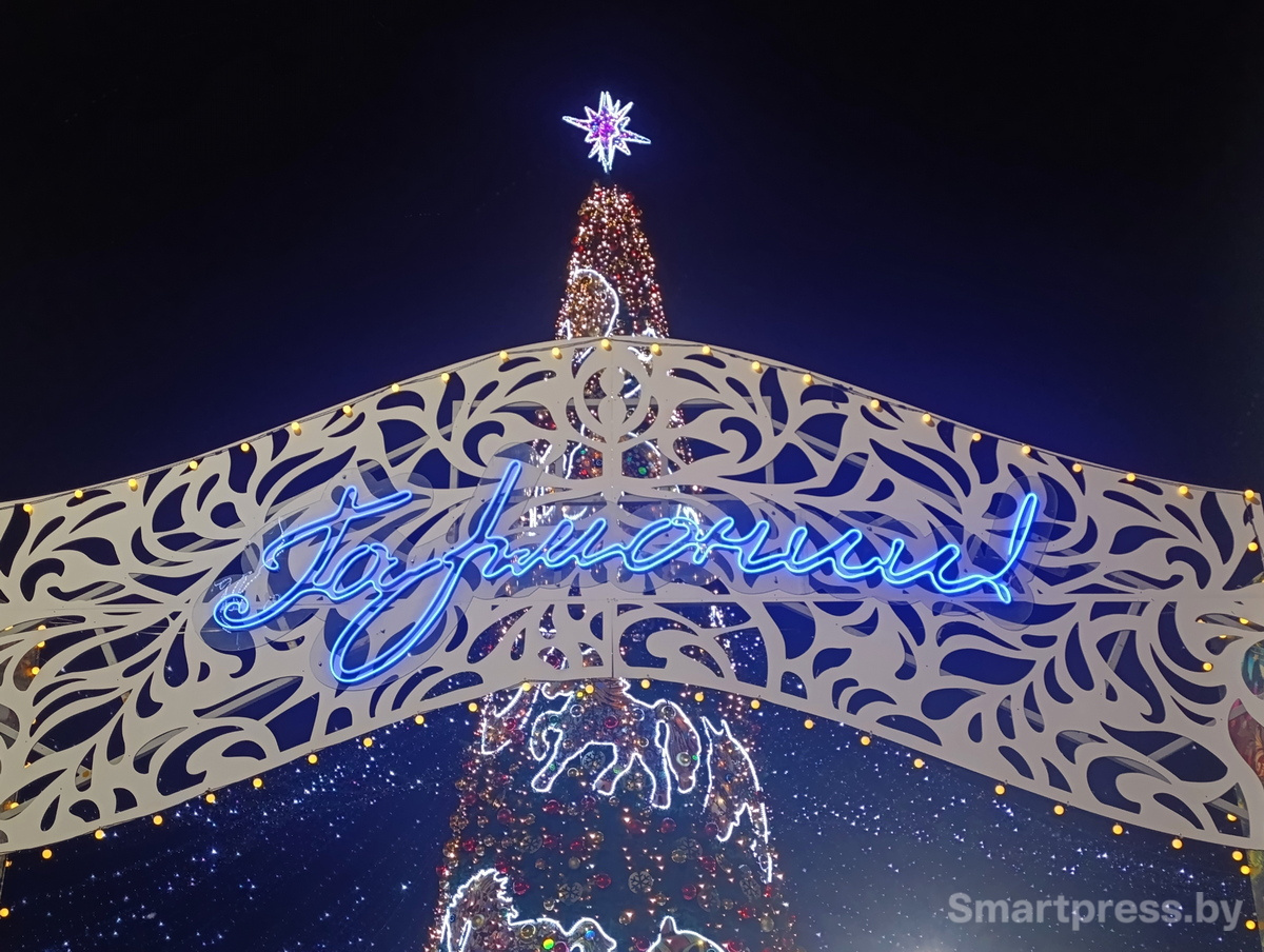 немига_новый_год_0006 (1)